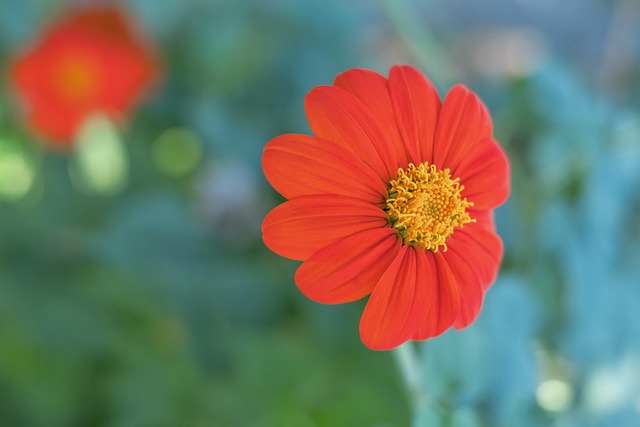 量和情感的 量和情感的