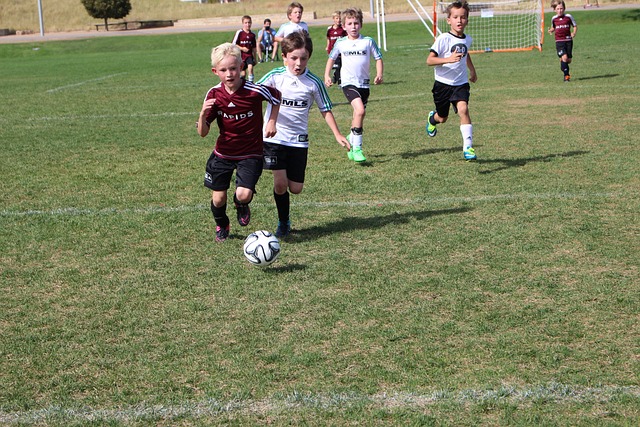 年来被质疑 年来被质疑