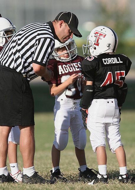 也可能导致 也可能导致