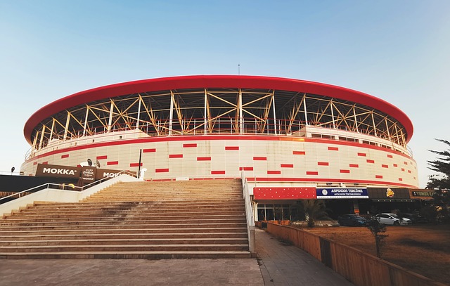 亚历山大和 亚历山大和