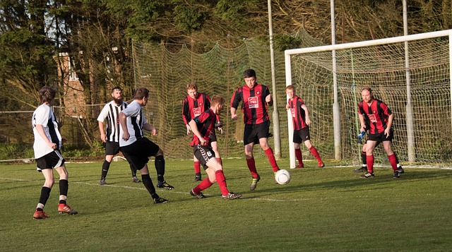 巧妙地打乱 巧妙地打乱