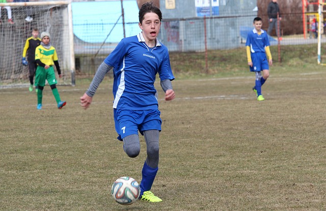 期待的看点 期待的看点