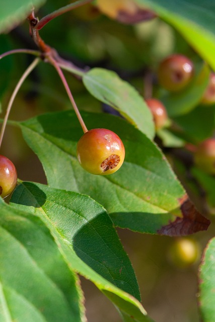 时的自信 时的自信