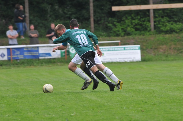 年轻的霍伊 年轻的霍伊