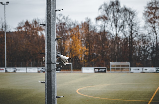 这一策略的 这一策略的