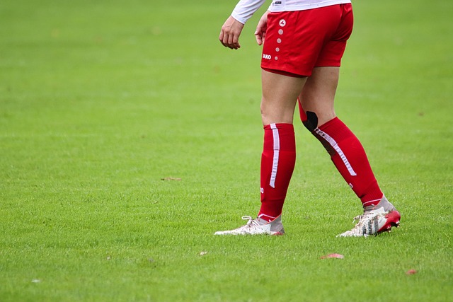 生不可忽视 生不可忽视