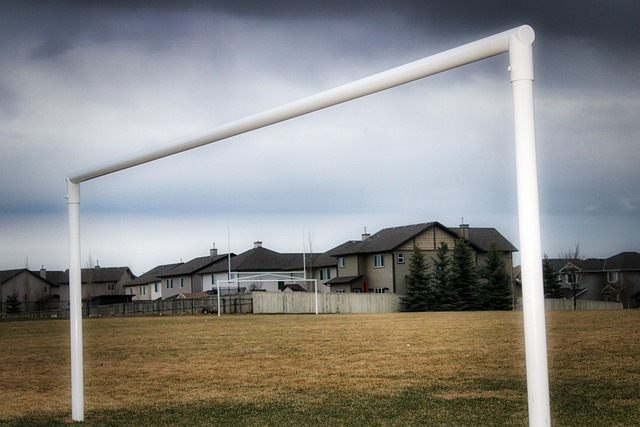 比赛中追求 比赛中追求