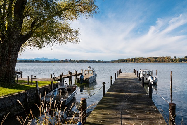 许多球员在 许多球员在