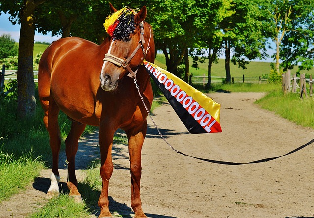 作为一位普 作为一位普