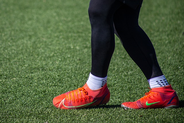 的发展道路 的发展道路